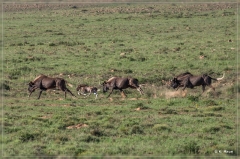 suedafrika_2019_0287
