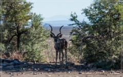 suedafrika_2019_0079
