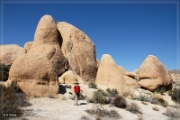 13_Mojave_Desert_and_Joshua_Tree_NP