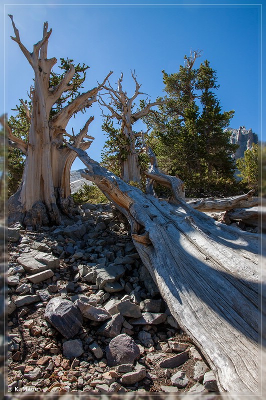 usa2014_0027.jpg