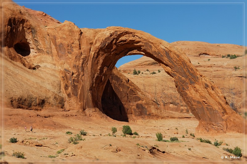 usa2014_0800.jpg