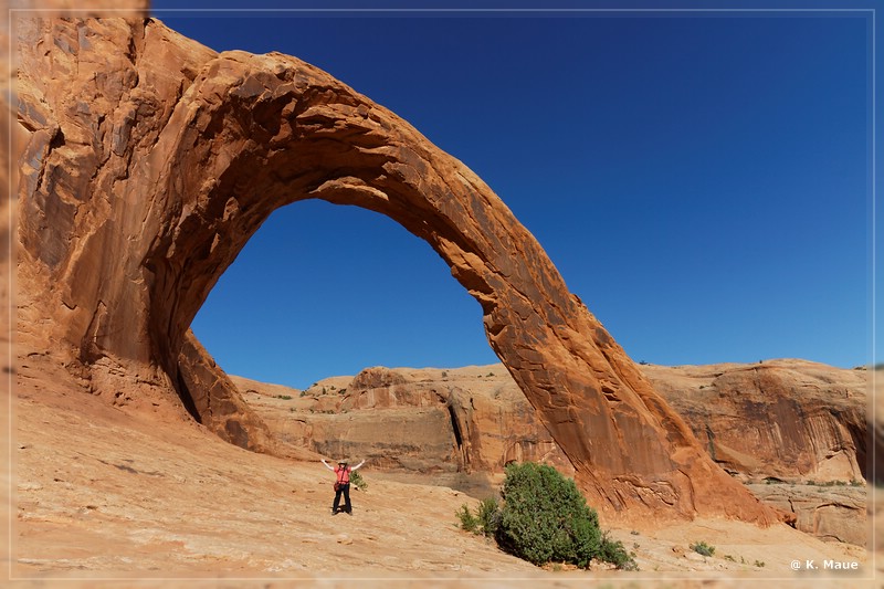 usa2014_0802.jpg