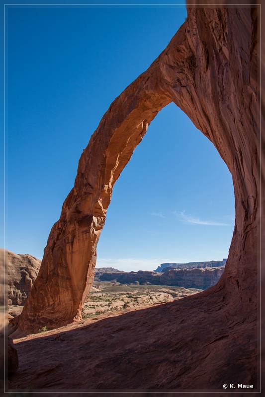 usa2014_0805.jpg