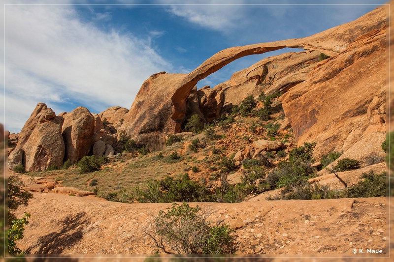 usa2014_0816.jpg