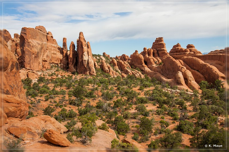 usa2014_0818.jpg