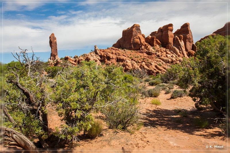 usa2014_0823.jpg