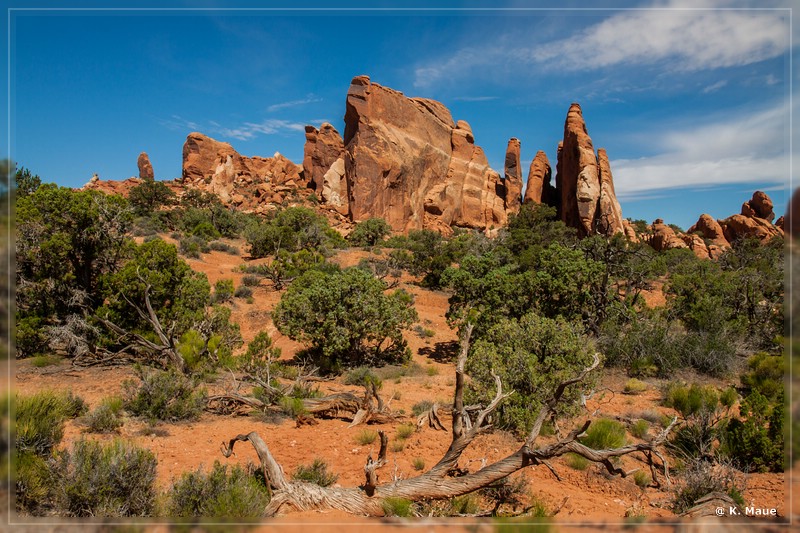 usa2014_0826.jpg