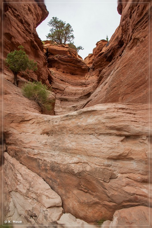 usa2014_0846.jpg