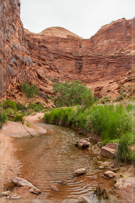 usa2014_0849.jpg
