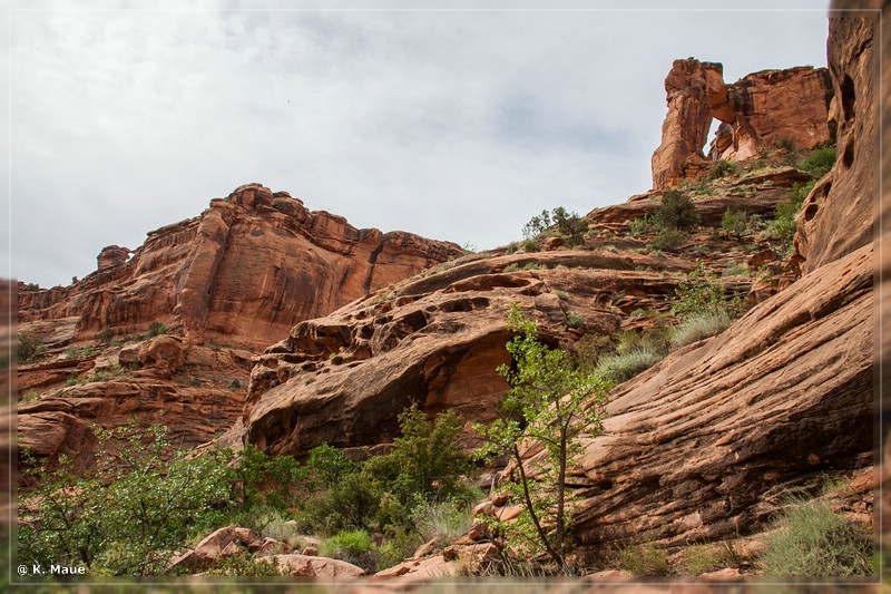usa2014_0850.jpg