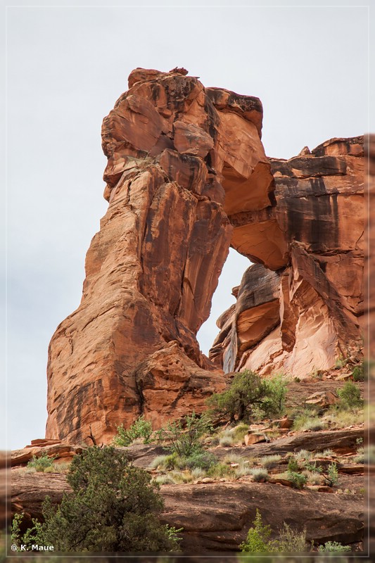usa2014_0851.jpg