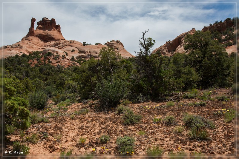 usa2014_0871.jpg