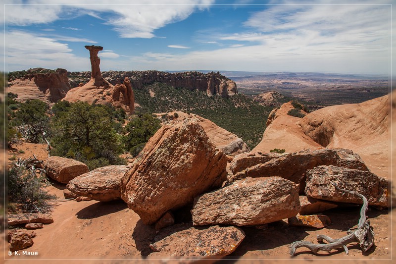 usa2014_0874.jpg