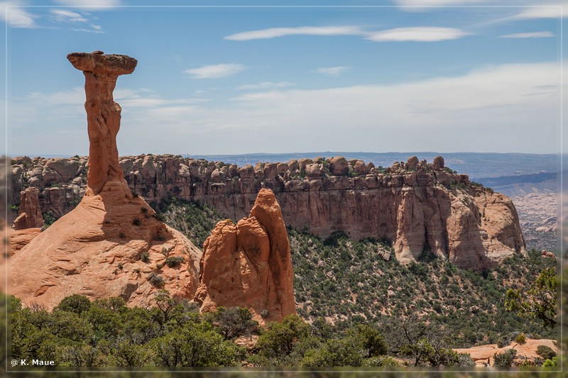 usa2014_0881.jpg