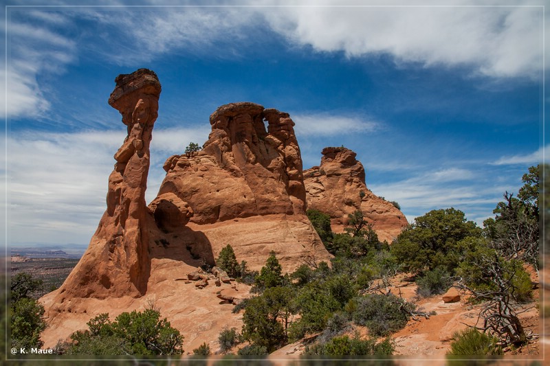 usa2014_0882.jpg