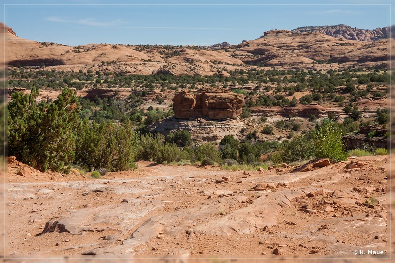 usa2014_0894.jpg