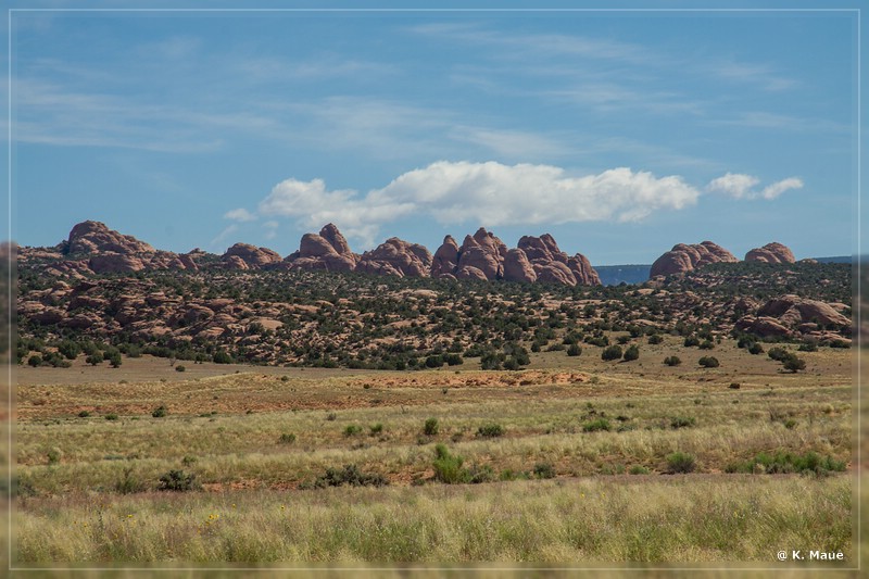 usa2014_0895.jpg