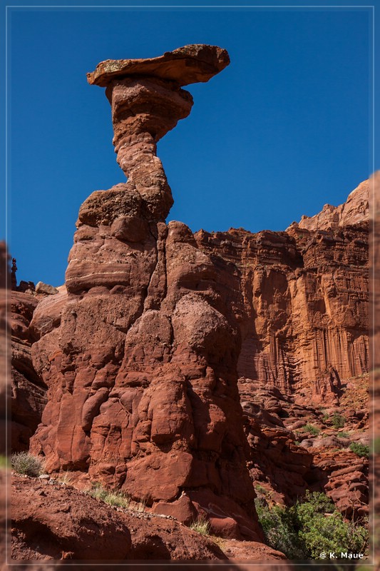 usa2014_0938.jpg