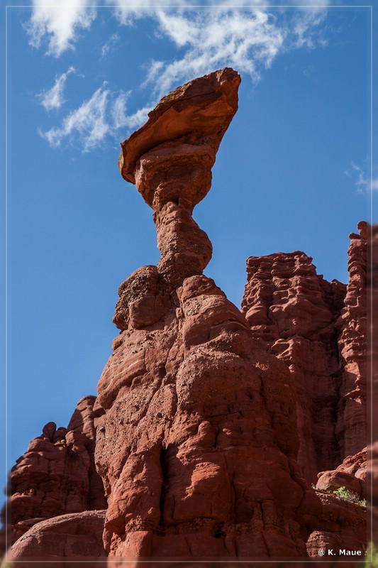 usa2014_0941.jpg
