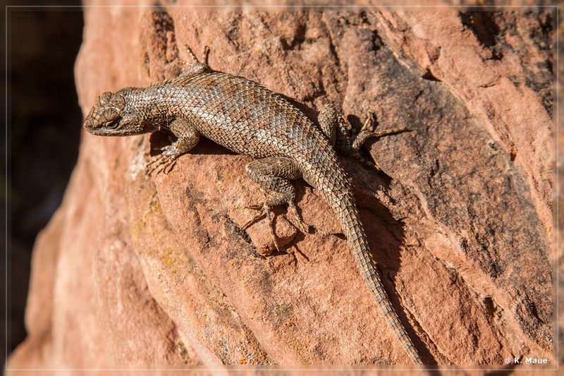 usa2014_1013.jpg