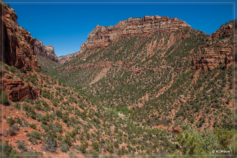 usa2014_1050.jpg