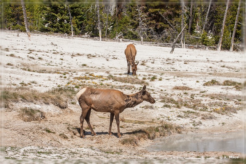 usa2014_0202.jpg
