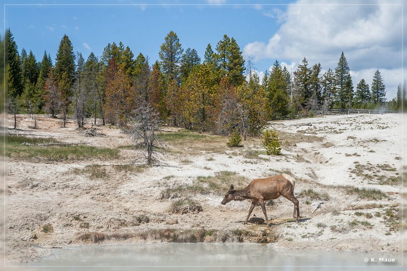 usa2014_0204.jpg