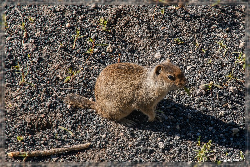 usa2014_0216.jpg