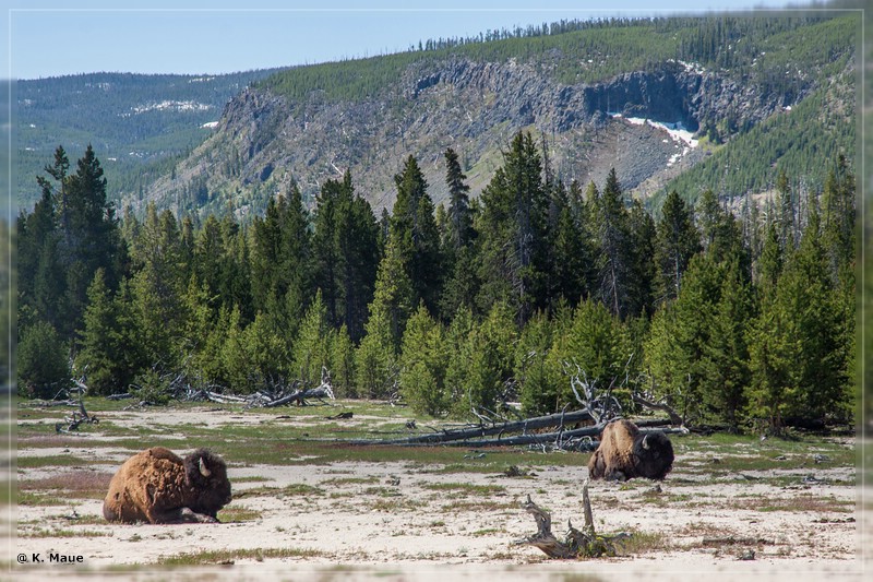 usa2014_0291.jpg
