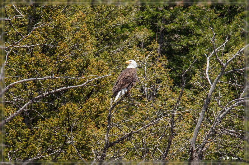 usa2014_0314.jpg