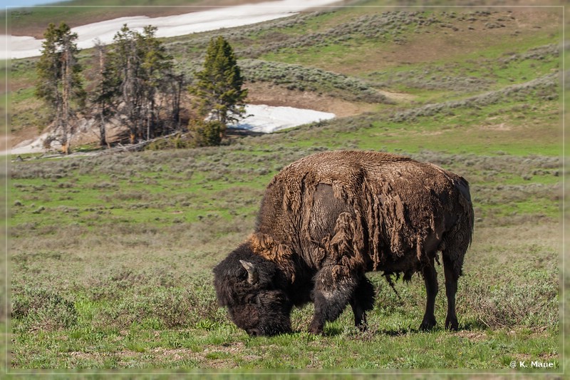 usa2014_0326.jpg