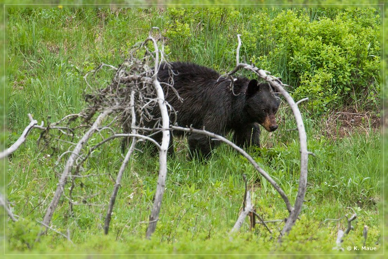 usa2014_0361.jpg