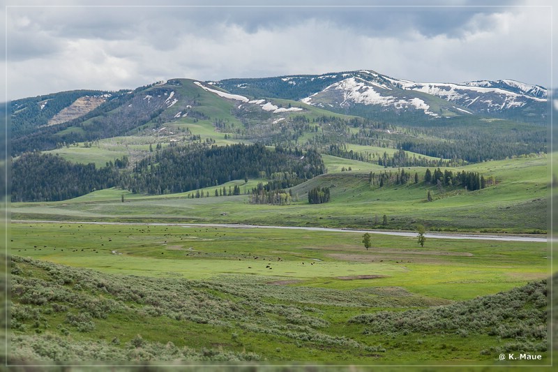 usa2014_0372.jpg