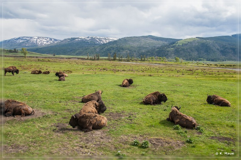 usa2014_0374.jpg