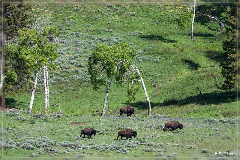 usa2014_0387.jpg