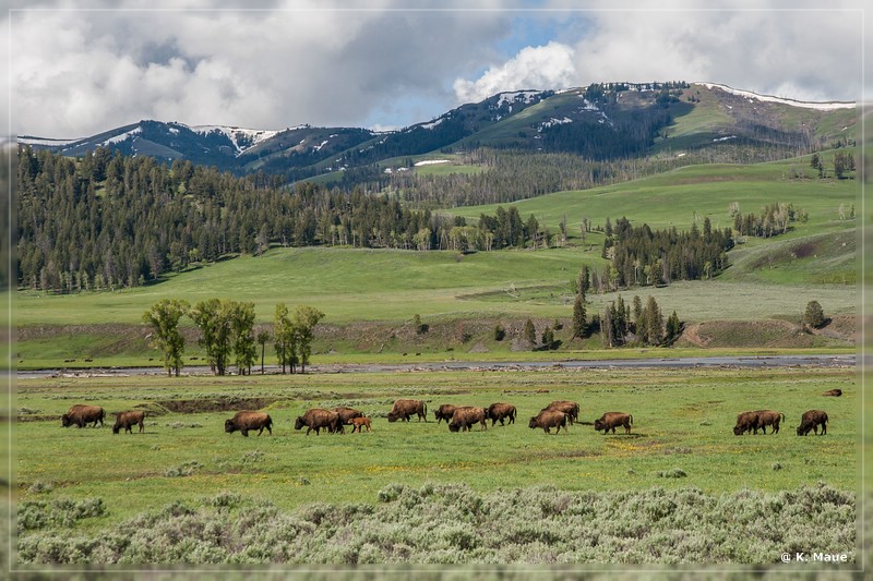 usa2014_0388.jpg