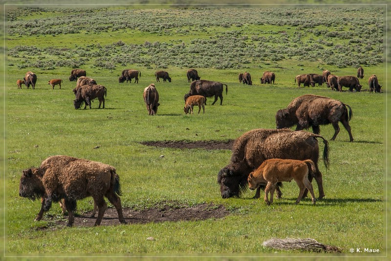 usa2014_0393.jpg