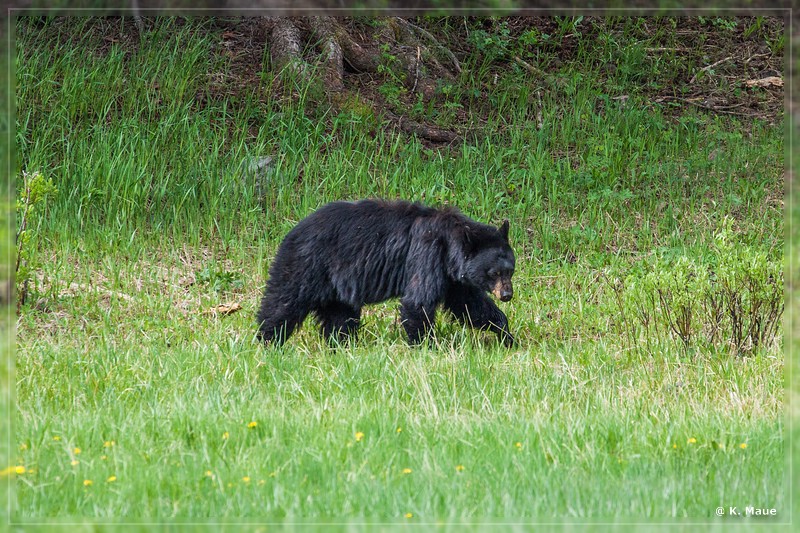 usa2014_0396.jpg