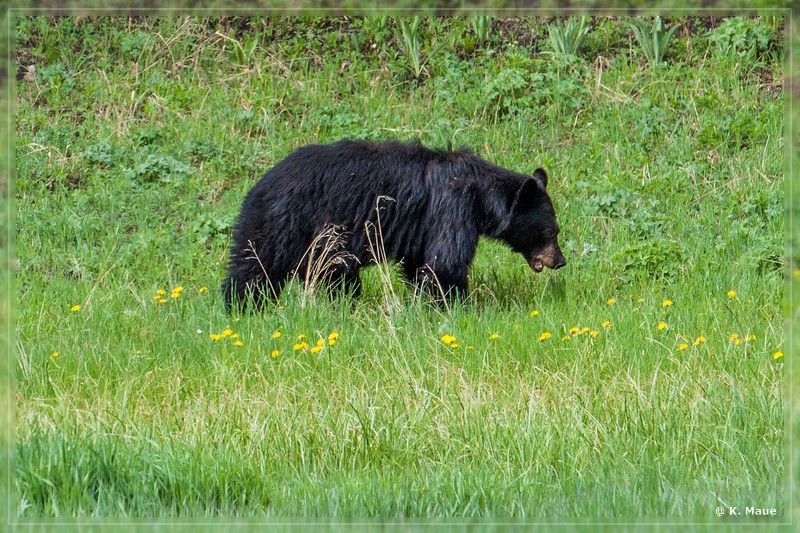 usa2014_0397.jpg