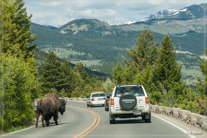 usa2014_0398.jpg