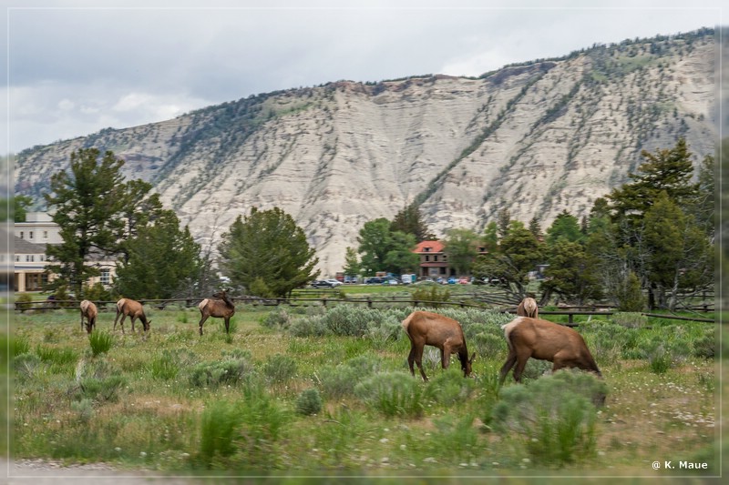 usa2014_0416.jpg