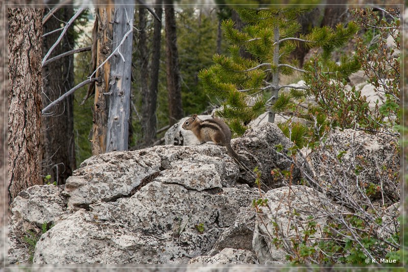 usa2014_0421.jpg