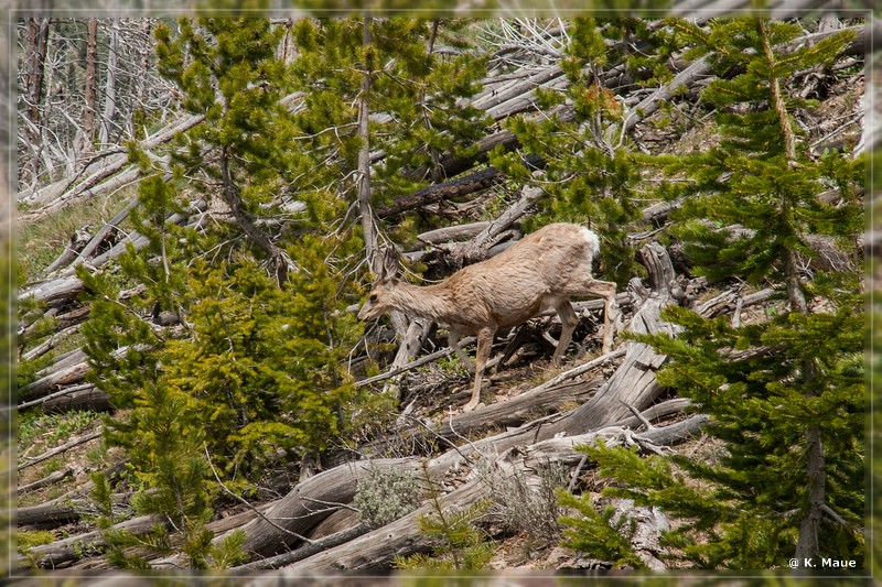 usa2014_0424.jpg