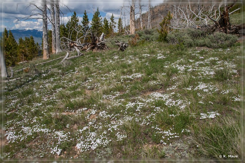 usa2014_0435.jpg