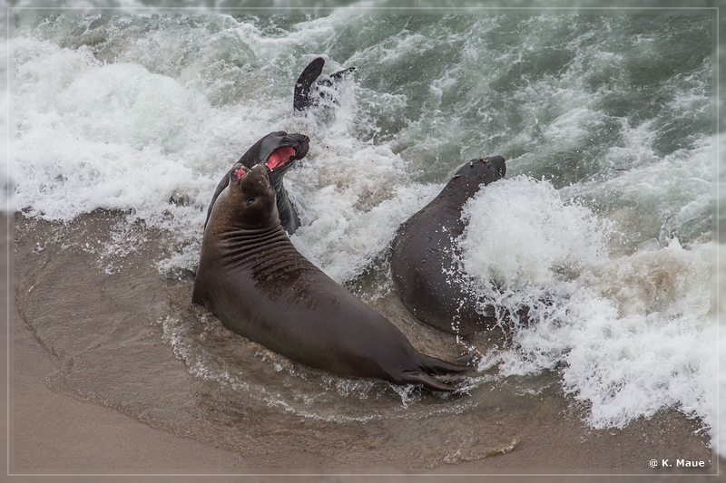 USA2015_0917.jpg