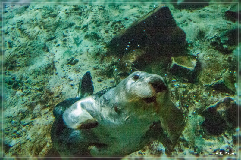 USA_2016_1007.jpg