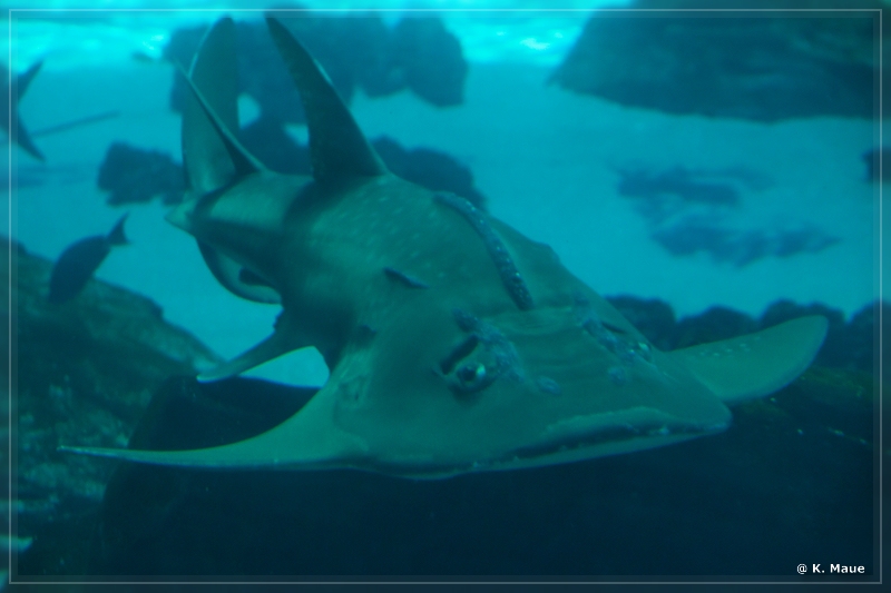 USA_2016_1026.jpg