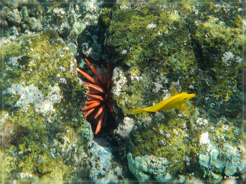 USA_2016_0825.jpg