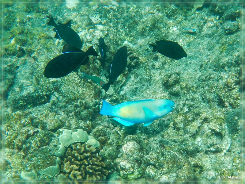 USA_2016_0827.jpg