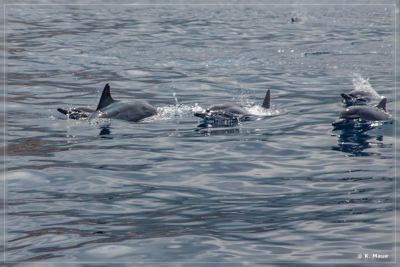 USA_2016_0837.jpg